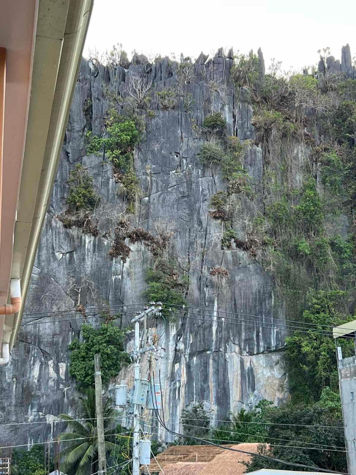 Vencejos Inn - El Nido Esterno foto